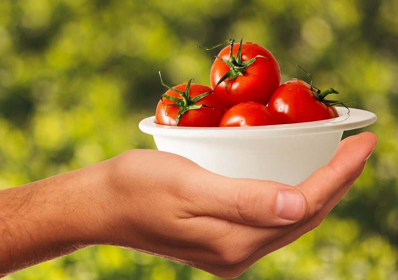Tomatoes